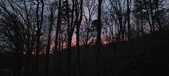 Enlarge photo 97