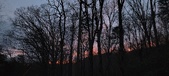 Enlarge photo 96