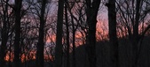 Enlarge photo 95