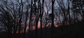 Enlarge photo 94