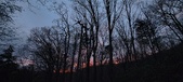 Enlarge photo 93