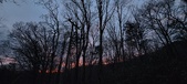 Enlarge photo 92