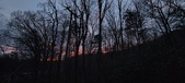 Enlarge photo 91
