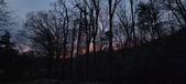Enlarge photo 90