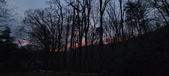 Enlarge photo 89
