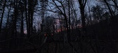 Enlarge photo 88