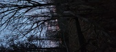 Enlarge photo 86