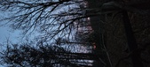Enlarge photo 85