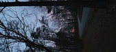 Enlarge photo 84