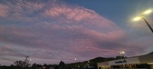 Enlarge photo 59