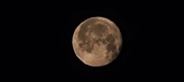 Enlarge photo 42