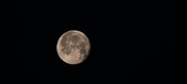 Enlarge photo 41