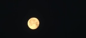 Enlarge photo 40