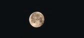 Enlarge photo 39