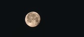 Enlarge photo 38