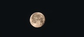 Enlarge photo 37
