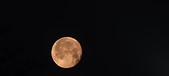 Enlarge photo 35
