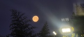 Enlarge photo 33