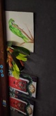 Enlarge photo 25