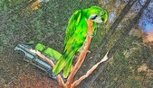Enlarge photo 19