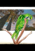 Enlarge photo 111