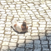 Enlarge photo 33