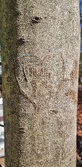 Enlarge photo 92