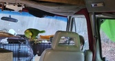 Enlarge photo 122