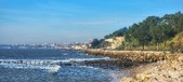 Enlarge photo 126