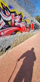 Enlarge photo 132