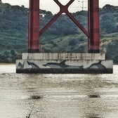 Enlarge photo 136