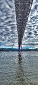 Enlarge photo 139