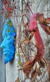 Enlarge photo 147