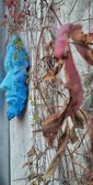 Enlarge photo 146