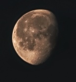 Enlarge photo 159
