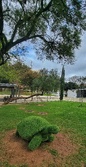 Enlarge photo 165