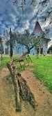 Enlarge photo 169