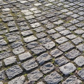 Enlarge photo 234