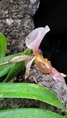 Enlarge photo 248