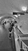 Enlarge photo 278