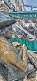 Enlarge photo 285