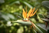 Enlarge photo 258