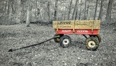 Enlarge photo 95