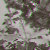Enlarge photo 75