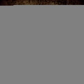 Enlarge photo 73