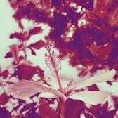 Enlarge photo 72