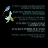 Enlarge photo 77