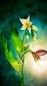 Enlarge photo 117