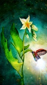 Enlarge photo 116