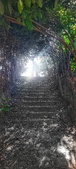 Enlarge photo 44
